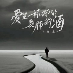 爱是一杯撕心裂肺的酒 (DJ默涵版)