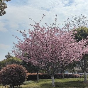 我们还有好多夏天