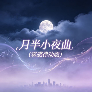 月半小夜曲(雾感律动版)