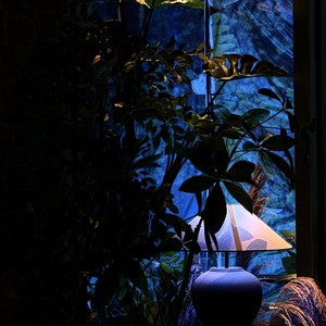 二十岁的月光 照不亮三十岁的窗