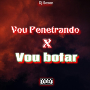 Vou Penetrando X Vou Botar