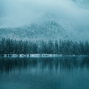 黑龙江岸边洁白的玫瑰花 (听扬琴品世界名曲)