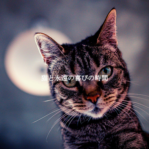 Swanky Backdrops for Chilly Evening