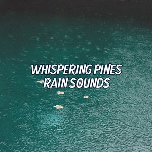 Whispering Veil of Rainfall: Soft Rain Sounds for Serene Meditation and Rest