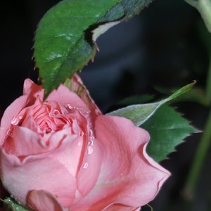 心动慢动作(prod.Gr33nart Beats)