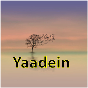 Yaadein
