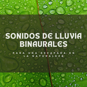 Oasis Lluvioso