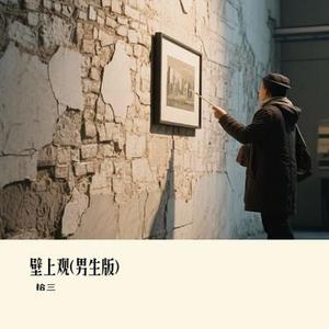 壁上观(男生版)(Cover 萧忆情Alex)