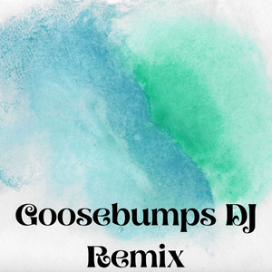 Goosebumps DJ Remix