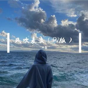 泪鑫-风吹麦浪（DJ版）（泪鑫 remix）