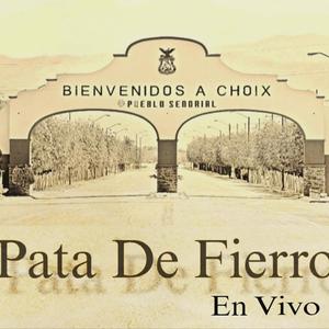 Pata De Fierro