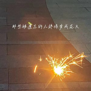 那些被遗忘的人终将变成花火