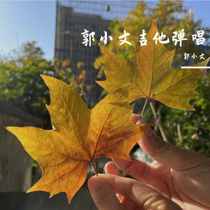 所以 音乐是最好的记录方式