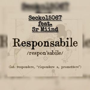 Responsabile (feat. Sr miind)