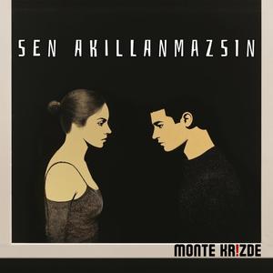Sen Akıllanmazsın