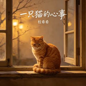 一只猫的心事