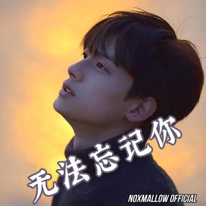 《月光下的诺言》 (R&B版)