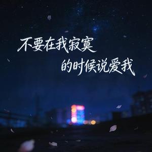 不要在我寂寞的时候说爱我 (Cover T.R.Y.)