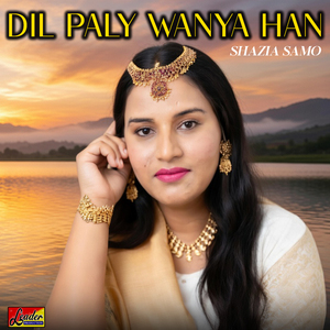 Dil Paly Wanya Han
