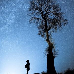 爱到尽头是陌路