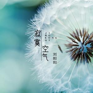 寂寞空气 (DJ名龙版)