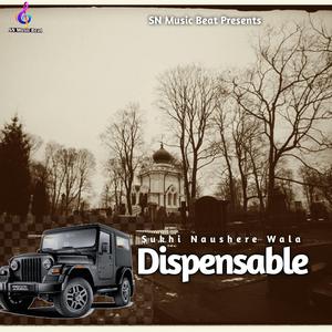 Dispensable
