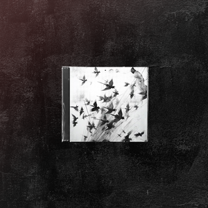 *free* 乘风归来【EMO中国风x河南神 type beat】