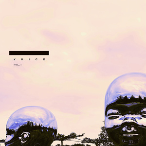 Тьмы (V.O.I.C.E. Mix)