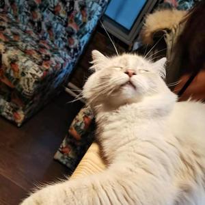 我在厨房做饭你非要来捣乱