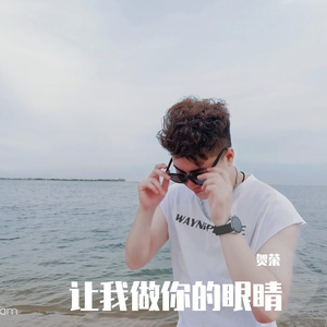 让我做你的眼睛_贺荣