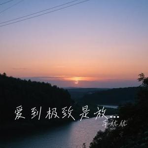 爱到极致是放手 (Cover 田园)
