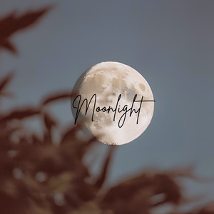 Moonlight