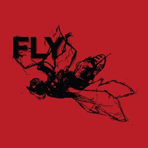 Fly