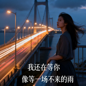 我还在等你 像等一场不来的雨