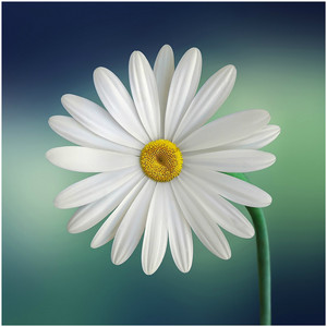 Trabalhar (Original Mix)