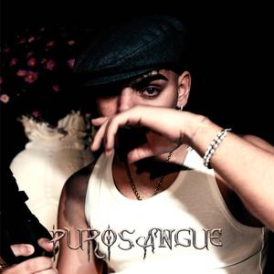 Purosangue