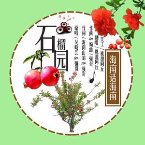 石榴园（Cover 吴晓云 / 强哥）