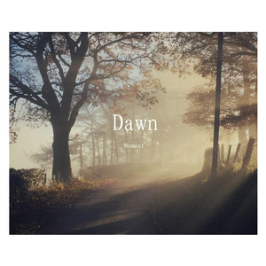 愿所有的美好如期而至