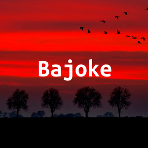 Bajoke