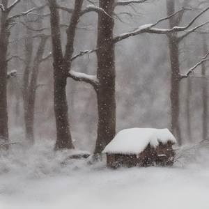 First Snow