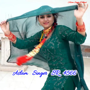 Aslam Singer SR 4566