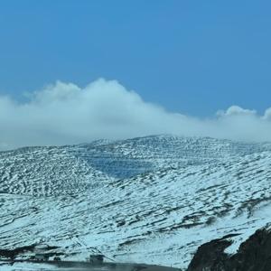 怪我没出息(拿什么爱你)