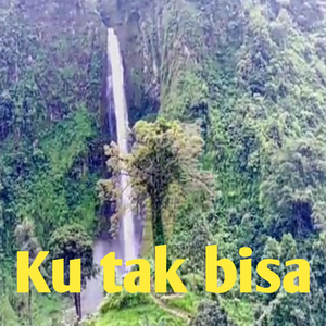 Ku Tak Bisa