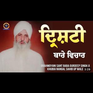 ਦ੍ਰਿਸ਼ਟੀ ਬਾਰੇ ਵਿਚਾਰ