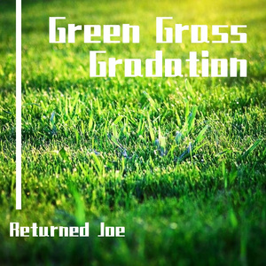 Green Grass Gradation（洛克人ZX 区域A ）
