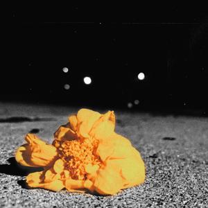 Lilley (feat. Huleeghon)