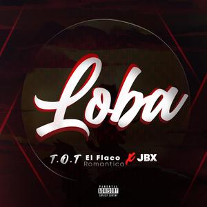 Ella es una loba (feat. T.O.T)
