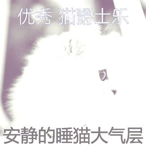 安静的猫在家声音