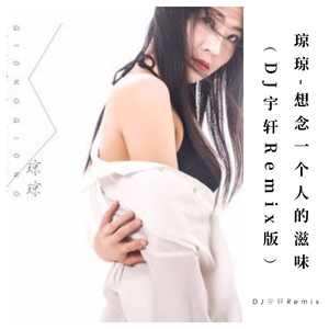琼琼-想念一个人的滋味(DJ版)(DJ版)