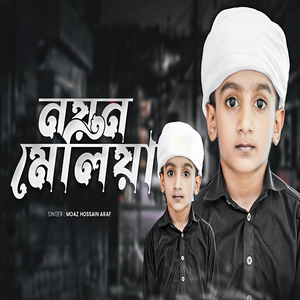 Nayan Meliya Dekhini Chahiya